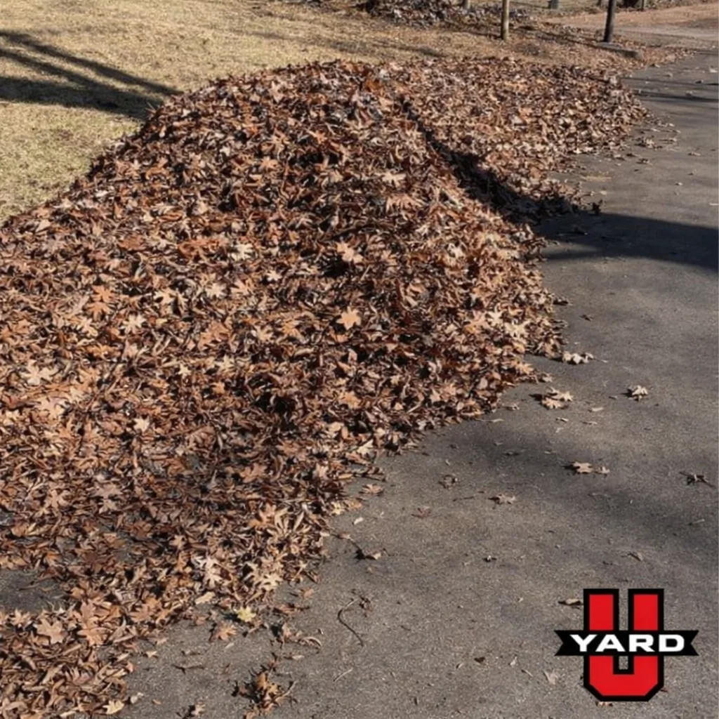 YardU project imagery for Yard Cleanup