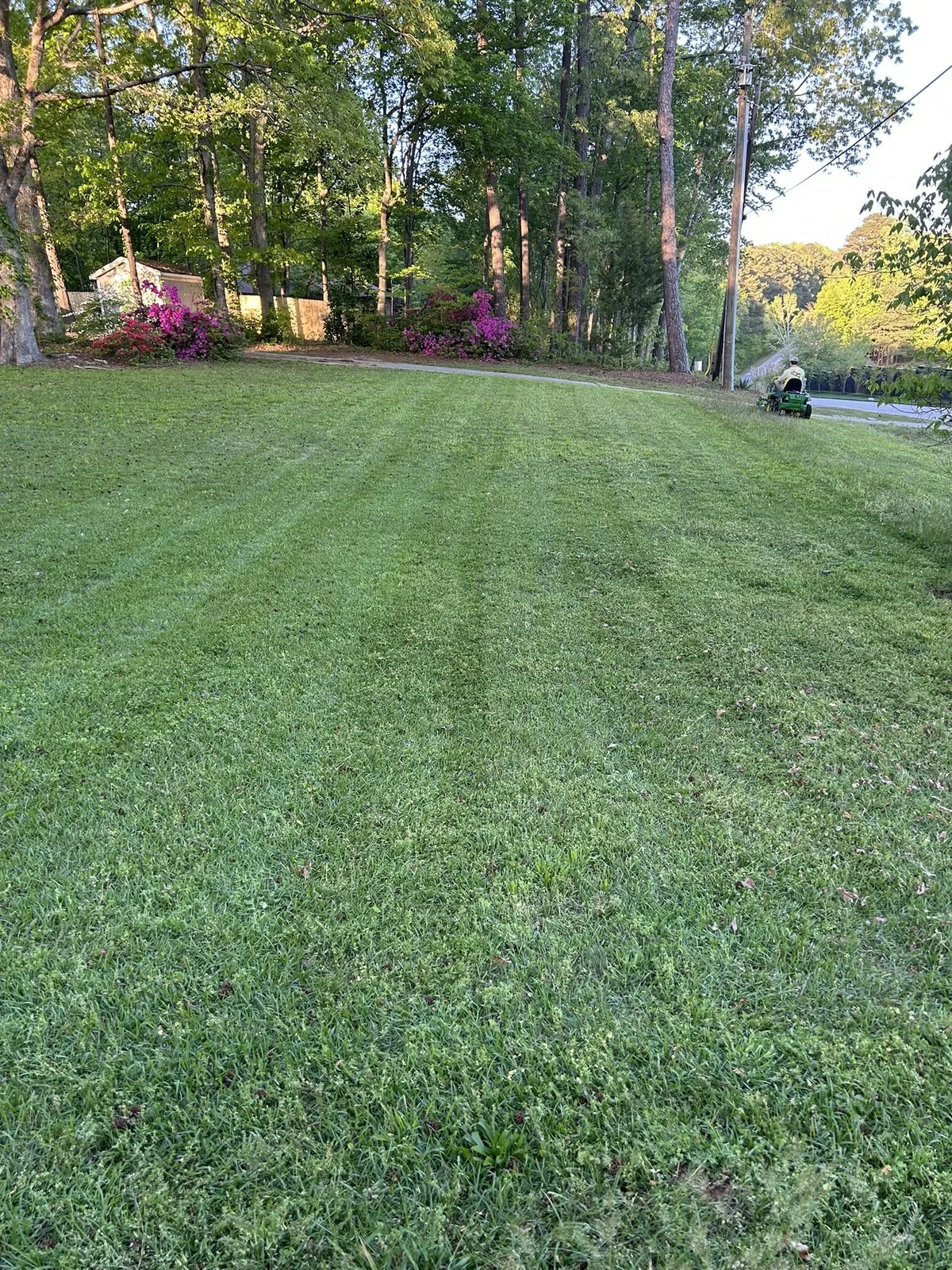Striped lawn in a client-provided YardU photo