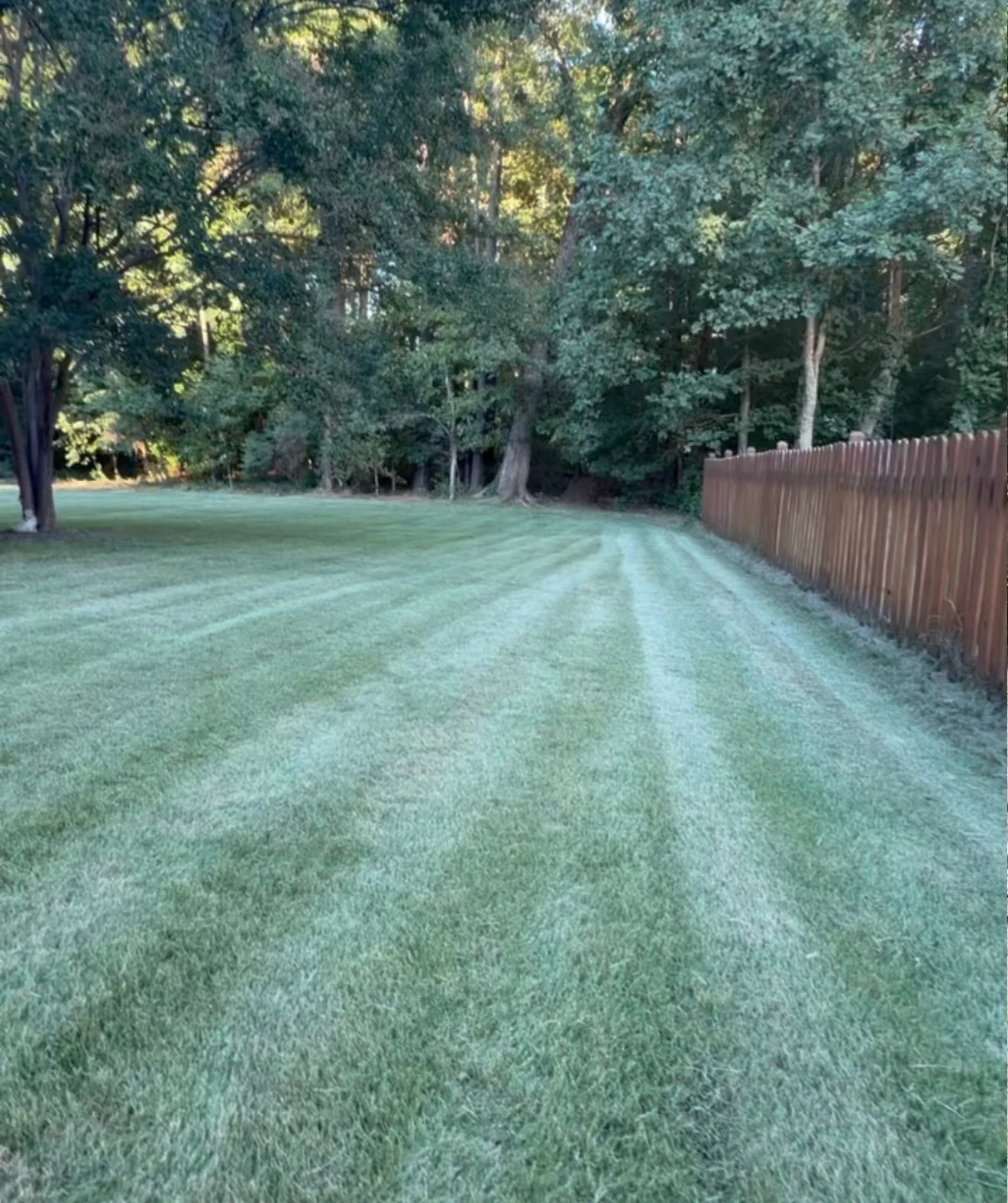 Tree-lined striped lawn photographed for YardU’s project album