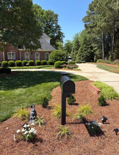 Mulched Mailbox area with shrubs