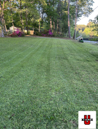 Mowing lines, stripes on healthy grass